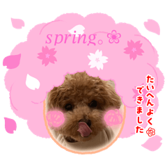 [LINEスタンプ] ピノさんwith2025