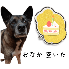[LINEスタンプ] マイケルの愉快なスタンプ