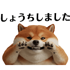 [LINEスタンプ] がんばれ！デブ柴