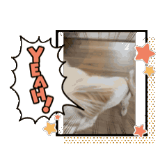[LINEスタンプ] Daily life of egg dog