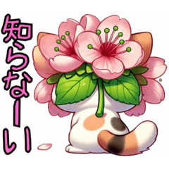 [LINEスタンプ] 桜にゃん❶ 1番人気❗️