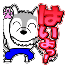 [LINEスタンプ] ボクシー 18 [グラデ文字5]