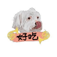 [LINEスタンプ] 台湾華語バージョン犬とホンル