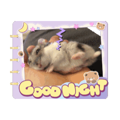 [LINEスタンプ] いちごtoおもち