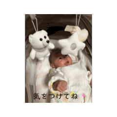 [LINEスタンプ] うちのばぶたち