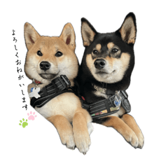 [LINEスタンプ] かぞくふえたスタンプ