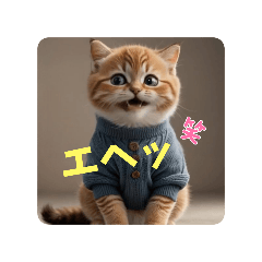 [LINEスタンプ] 顔で語るネコちゃん