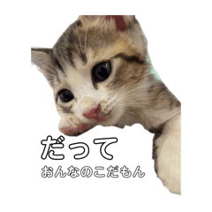 [LINEスタンプ] べびぱぢゅとべびしぃちゃんの画像（メイン）