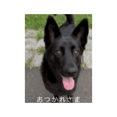 [LINEスタンプ] うちのみっくちゃん