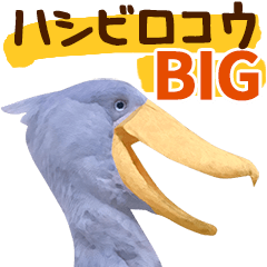 [LINEスタンプ] BIG★ハシビロコウ★基本の挨拶スタンプ