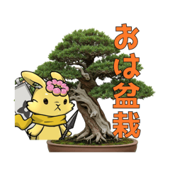 [LINEスタンプ] ルナと盆栽のスタンプ ver3.0