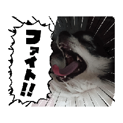 [LINEスタンプ] ミルクチェリー