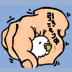 [LINEスタンプ] インコの日常で使えるスタンプの画像（メイン）