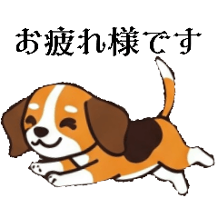 [LINEスタンプ] 色々使えるあいさつ❗❗【ビーグル犬】