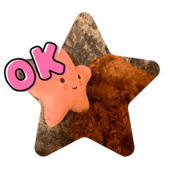 [LINEスタンプ] あんこ✖︎仙太郎の日常