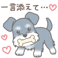 [LINEスタンプ] 『シュナウザー』一言添えて…♡の画像（メイン）