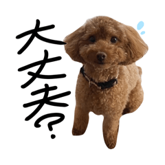 [LINEスタンプ] トイプーププ