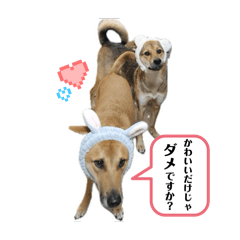 [LINEスタンプ] ジョンとジーナ2