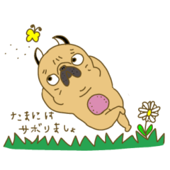 [LINEスタンプ] あたちパグのこうめ！！6