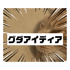 [LINEスタンプ] 動くルゥ（茶トラ猫）のスタンプ
