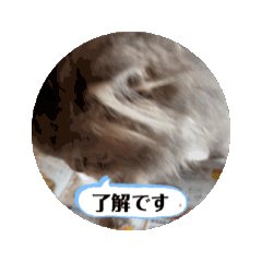 [LINEスタンプ] MALUのまったりライフ8