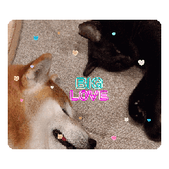 [LINEスタンプ] 続ドールン家のベイビーズ