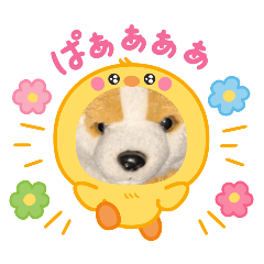 [LINEスタンプ] 没になったスタンプ＆16の新作スタンプ