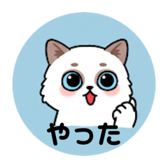 [LINEスタンプ] 可愛い青い猫