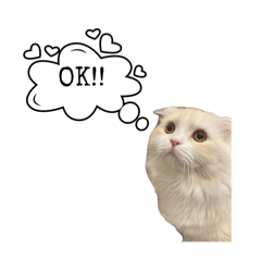 [LINEスタンプ] いやしのニャンコⅡ