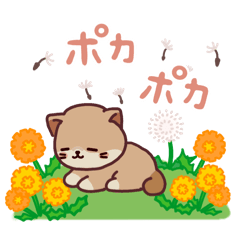 [LINEスタンプ] おっさにゃん時々しらたま⭐︎春編