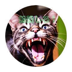 [LINEスタンプ] 猫の勉強しろスタンプ