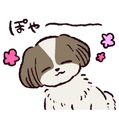 [LINEスタンプ] シーズーです.