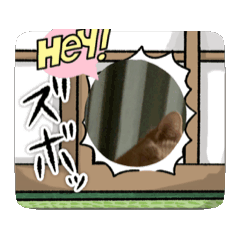 [LINEスタンプ] おいもとこうめのほのぼのスタンプ