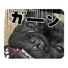 [LINEスタンプ] フレンチブルみかん
