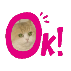 [LINEスタンプ] にゃにゃにゃの子