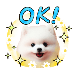 [LINEスタンプ] 大人女子の了解・OK・やんわり断るスタンプ