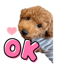 [LINEスタンプ] こむぎときなこ  ①