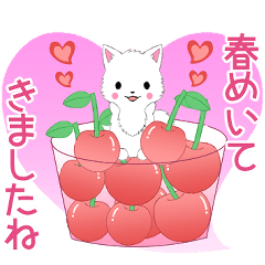 [LINEスタンプ] ちび白モフ16【春】