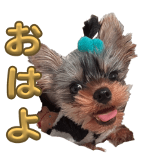 [LINEスタンプ] ろあの日常で使えるスタンプ