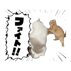 [LINEスタンプ] 動くベルゆき