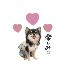 [LINEスタンプ] ♡ゆうか 様