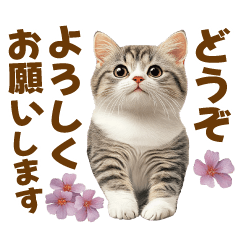 [LINEスタンプ] 春花とねこ♡