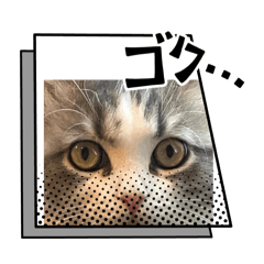 [LINEスタンプ] 猫、うさぎスタンプ使ってって！