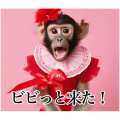 [LINEスタンプ] 架空のメス猿ちゃん