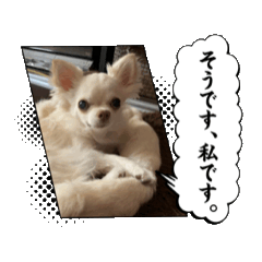 [LINEスタンプ] T.S_20250317190703
