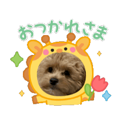 [LINEスタンプ] 個性強めのうちの子