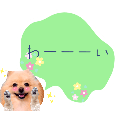 [LINEスタンプ] めろめろ♡春♡ポメ推しスタンプ