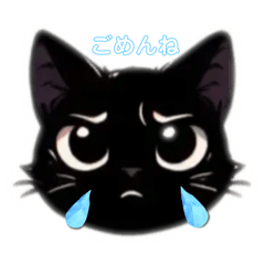 [LINEスタンプ] 黒猫にゃんにゃんの日常