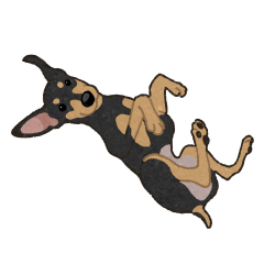[LINEスタンプ] ゆるピン