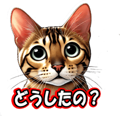 [LINEスタンプ] ベンガル猫の日常会話